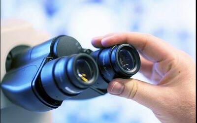 Petit rappel : la coproscopie, un outil précieux pour vos animaux de rente et vos chevaux