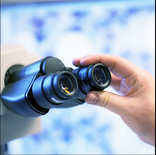 Petit rappel : la coproscopie, un outil précieux pour vos animaux de rente et vos chevaux