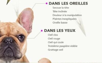 Attention aux épillets