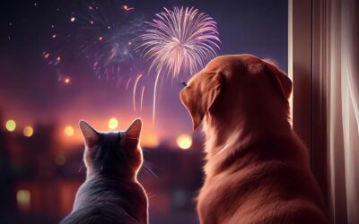 Feux d’artifice : protégez vos animaux !