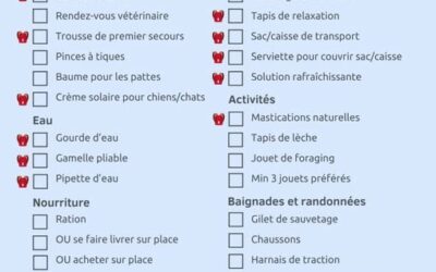 C’est les vacances ! Emmenez votre compagnon en toute sérénité