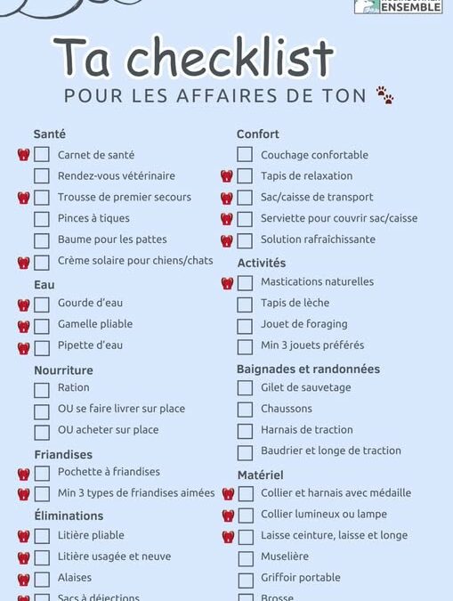 C’est les vacances ! Emmenez votre compagnon en toute sérénité