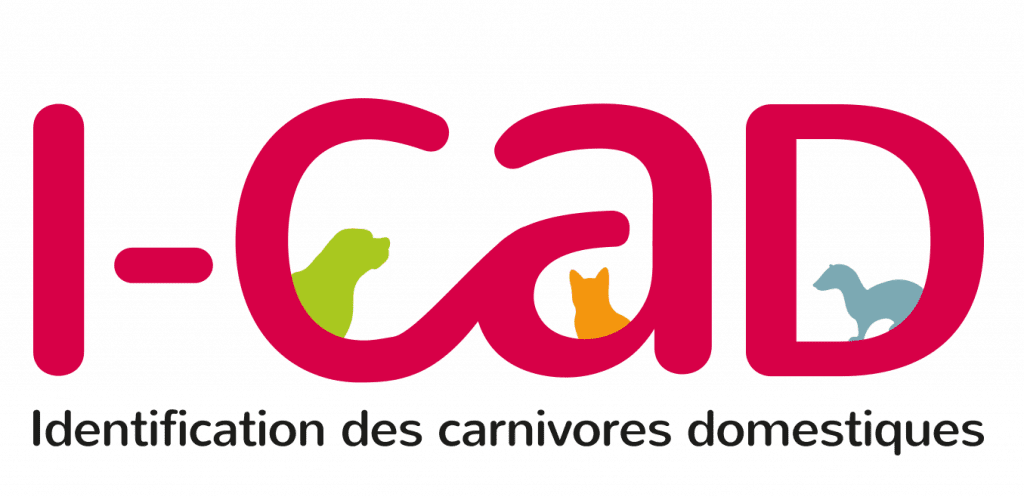 L’identification de votre animal : une obligation et un acte de protection